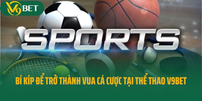 Bí kíp để trở thành vua cá cược tại thể thao V9bet